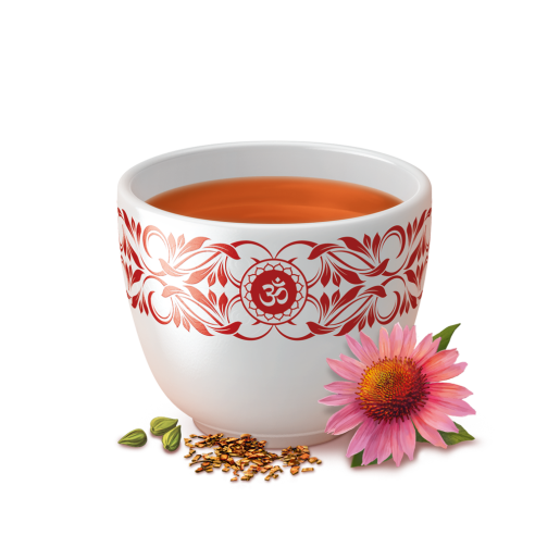 Yogi Tea Echinacea 17 saszetek